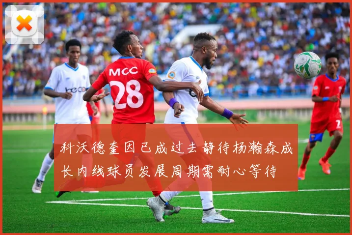 科沃德奎因已成过去静待杨瀚森成长内线球员发展周期需耐心等待