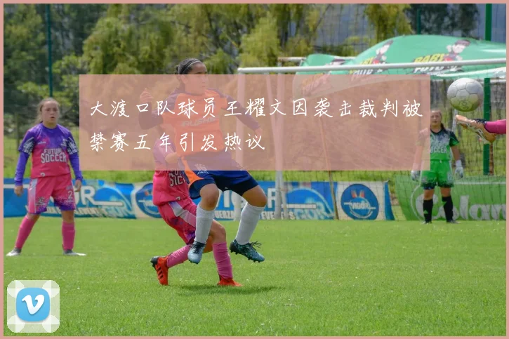 大渡口队球员王耀文因袭击裁判被禁赛五年引发热议